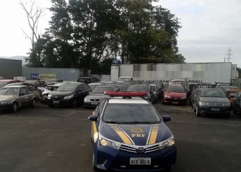 PRF promove leilão com mais de 300 veículos apreendidos em Santa Catarina
