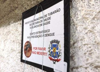 Tubarão: focos do mosquito transmissor da dengue chegam a 82 este ano