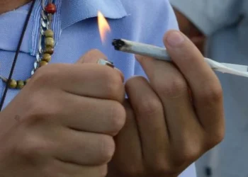 STF mantém descriminalização do porte de maconha para uso pessoal