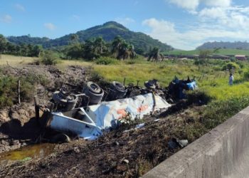 Caminhão tomba em canteiro e pega fogo na BR-101