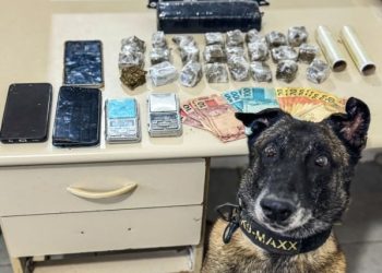 Casa usada para armazenar drogas tinha maconha escondida no forro e no guarda-roupa