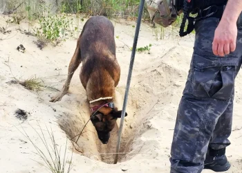 Balneário Rincão: corpo é encontrado enterrado em dunas