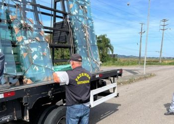 Operação flagra R$ 1,2 milhão em mercadorias transportadas irregularmente na região