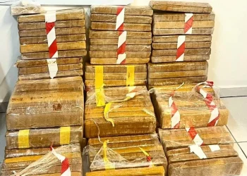 PM prende duas mulheres com 93 quilos de maconha na BR-101