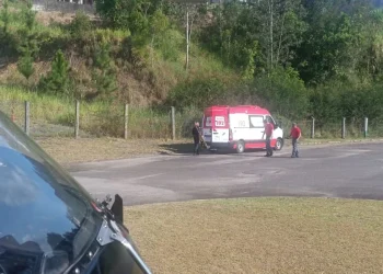 Trabalhadora fica gravemente ferida após ser atingida por árvore