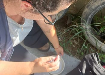 Região registra 966 focos do Aedes aegypti este ano