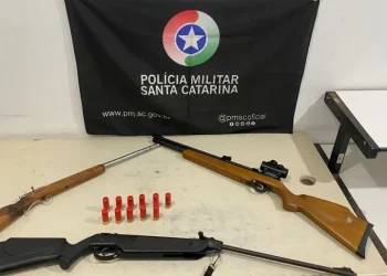 Motorista é flagrado com espingardas no veículo