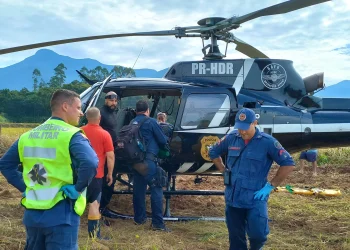 Homem é resgatado em área de mata depois de ser atacado por marimbondos