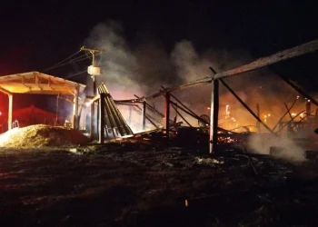 Madeireira é destruída por incêndio, ninguém se feriu