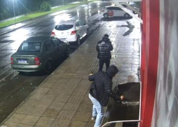 Ato de vandalismo em Tubarão pode ser enquadrado como crime contra os animais