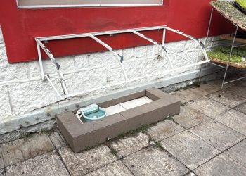 Tubarão: vandalismo contra abrigo de cães é registrado por câmeras