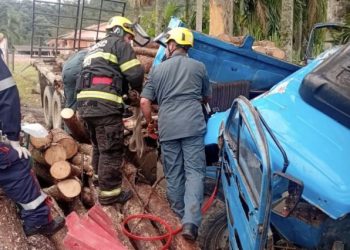 Caminhão sai da pista, bate em árvores e motorista fica preso na cabine