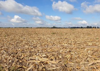 Famílias sofrem com a estiagem ao ficar sem água