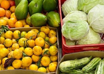 Cesta Básica em Tubarão pode variar até R$ 25 entre supermercados