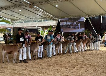 Edição histórica marca a Feagro 2025