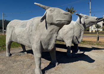 Pedras Grandes constrói carro de boi de 15 toneladas