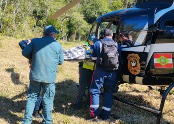 Homem é atingido por árvore no interior de São Martinho