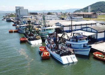 Terminal pesqueiro de Laguna será administrado pelo Porto de Imbituba