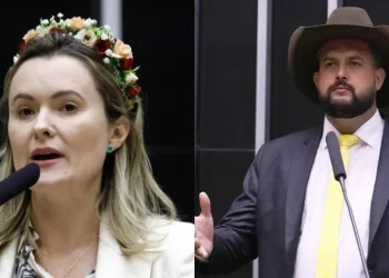 Deputados de Santa Catarina são alvos de pedido de suspensão na Câmara por conduta em sessão