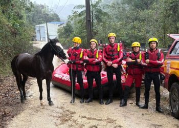 Rio Fortuna: Cavalo cai em rio após acidente e é salvo por bombeiros