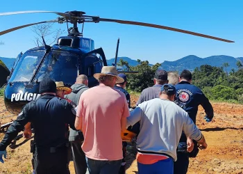 Armazém: trabalhador fica ferido após ser atingido por galho de árvore