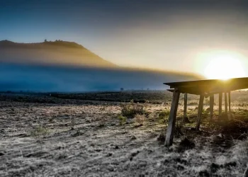 Governo abre crédito de R$ 12 bilhões para produtores rurais