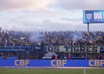 Tigre empata contra o Avaí e se mantém no G4