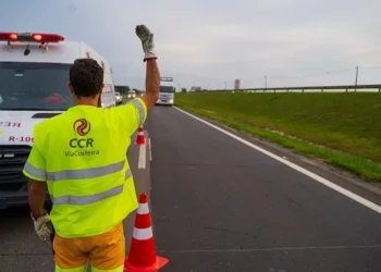 Concessionária da BR-101 abre vagas de emprego para a temporada de verão