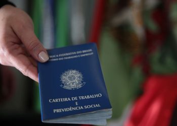 Municípios lideram em ocupação de trabalho