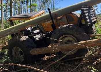 Homem morre ao ser atingido por árvore em Jaguaruna