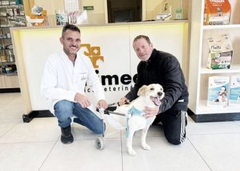 Morador de Tubarão transforma dor em amor ao resgatar cães com deficiência