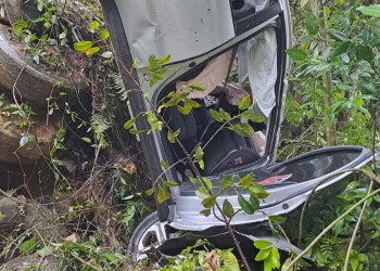 Duas pessoas ficam feridas em capotamento na SC-108