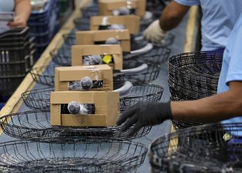 Dados apontam economia aquecida em três setores em Santa Catarina