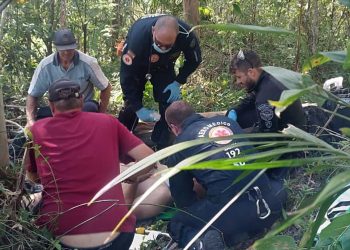 Árvore atinge homem no interior de São Martinho