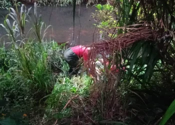 Mulher é encontrada morta às margens de rio