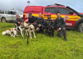 Orleans: cães de caça se perdem em mata e são resgatados com apoio de GPS