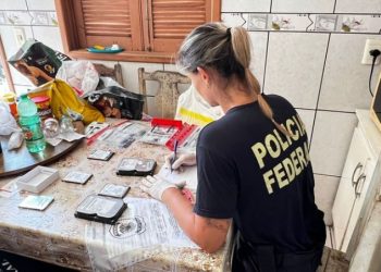 PF prende homem suspeito de armazenar material de abuso sexual infantil