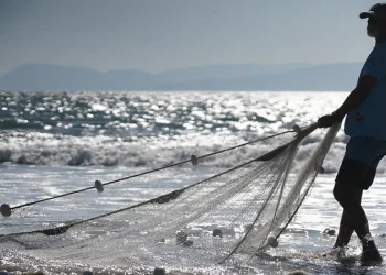 Quase 6,2 mil pescadores do Sul de SC podem perder licença por cadastros desatualizados