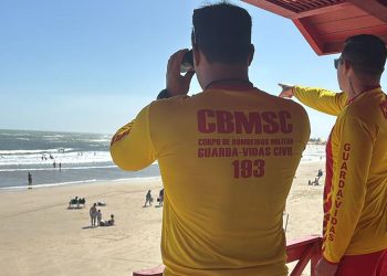 Região soma 1,3 mil casos de queimaduras por água-viva