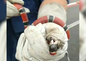 Saúde alerta para cuidados em períodos mais quentes