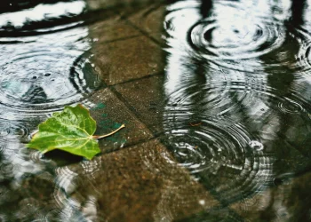 Municípios do Sul de SC registram os maiores volumes de chuva do estado