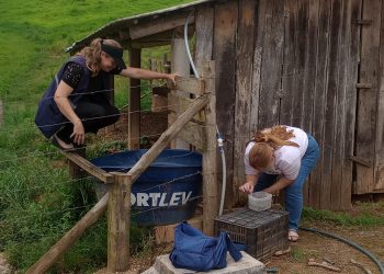 Aumento de focos de mosquito acende alerta na região